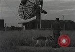 Immagine di Cani sentinella Il Vietnam, 1965, secondo 9 filmato di repertorio 65675062013