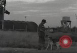 Immagine di Cani sentinella Il Vietnam, 1965, secondo 13 filmato di repertorio 65675062013