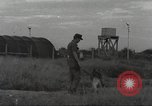 Immagine di Cani sentinella Il Vietnam, 1965, secondo 14 filmato di repertorio 65675062013