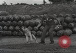 Immagine di Cani sentinella Il Vietnam, 1965, secondo 15 filmato di repertorio 65675062013