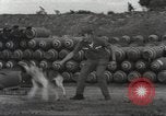 Immagine di Cani sentinella Il Vietnam, 1965, secondo 17 filmato di repertorio 65675062013