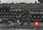Immagine di Cani sentinella Il Vietnam, 1965, secondo 18 filmato di repertorio 65675062013