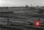 Immagine di Cani sentinella Il Vietnam, 1965, secondo 21 filmato di repertorio 65675062013