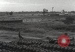 Immagine di Cani sentinella Il Vietnam, 1965, secondo 22 filmato di repertorio 65675062013