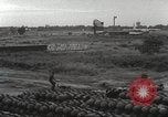 Immagine di Cani sentinella Il Vietnam, 1965, secondo 23 filmato di repertorio 65675062013