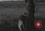 Immagine di Cani sentinella Il Vietnam, 1965, secondo 28 filmato di repertorio 65675062013