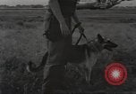 Immagine di Cani sentinella Il Vietnam, 1965, secondo 29 filmato di repertorio 65675062013