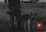 Immagine di Cani sentinella Il Vietnam, 1965, secondo 30 filmato di repertorio 65675062013