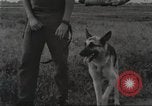 Immagine di Cani sentinella Il Vietnam, 1965, secondo 31 filmato di repertorio 65675062013