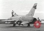 Immagine di Cani sentinella Il Vietnam, 1965, secondo 36 filmato di repertorio 65675062013