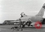 Immagine di Cani sentinella Il Vietnam, 1965, secondo 40 filmato di repertorio 65675062013