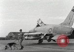 Immagine di Cani sentinella Il Vietnam, 1965, secondo 41 filmato di repertorio 65675062013