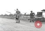 Immagine di Cani sentinella Il Vietnam, 1965, secondo 43 filmato di repertorio 65675062013