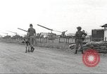 Immagine di Cani sentinella Il Vietnam, 1965, secondo 45 filmato di repertorio 65675062013