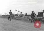 Immagine di Cani sentinella Il Vietnam, 1965, secondo 46 filmato di repertorio 65675062013