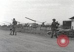 Immagine di Cani sentinella Il Vietnam, 1965, secondo 47 filmato di repertorio 65675062013
