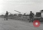 Immagine di Cani sentinella Il Vietnam, 1965, secondo 48 filmato di repertorio 65675062013