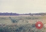 Immagine di 1a divisione di cavalleria Chu Lai Vietnam, 1969, secondo 22 filmato di repertorio 65675062017