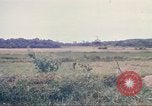 Immagine di 1a divisione di cavalleria Chu Lai Vietnam, 1969, secondo 23 filmato di repertorio 65675062017