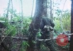 Image of United States soldiers South Vietnam, 1967, second 14 stock footage video 65675062021