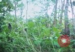 Image of United States soldiers South Vietnam, 1967, second 22 stock footage video 65675062021