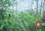 Image of United States soldiers South Vietnam, 1967, second 23 stock footage video 65675062021