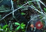 Image of United States soldiers South Vietnam, 1967, second 24 stock footage video 65675062021