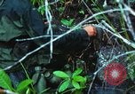 Image of United States soldiers South Vietnam, 1967, second 25 stock footage video 65675062021