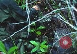 Image of United States soldiers South Vietnam, 1967, second 26 stock footage video 65675062021