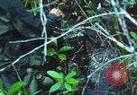 Image of United States soldiers South Vietnam, 1967, second 27 stock footage video 65675062021