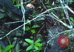 Image of United States soldiers South Vietnam, 1967, second 28 stock footage video 65675062021