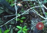 Image of United States soldiers South Vietnam, 1967, second 29 stock footage video 65675062021