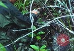 Image of United States soldiers South Vietnam, 1967, second 30 stock footage video 65675062021