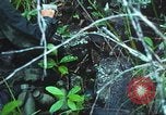 Image of United States soldiers South Vietnam, 1967, second 32 stock footage video 65675062021