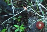 Image of United States soldiers South Vietnam, 1967, second 33 stock footage video 65675062021