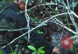 Image of United States soldiers South Vietnam, 1967, second 34 stock footage video 65675062021