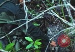 Image of United States soldiers South Vietnam, 1967, second 35 stock footage video 65675062021