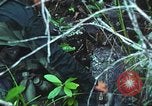 Image of United States soldiers South Vietnam, 1967, second 36 stock footage video 65675062021