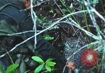 Image of United States soldiers South Vietnam, 1967, second 37 stock footage video 65675062021