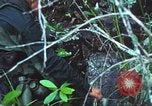 Image of United States soldiers South Vietnam, 1967, second 38 stock footage video 65675062021