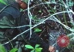 Image of United States soldiers South Vietnam, 1967, second 39 stock footage video 65675062021