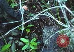 Image of United States soldiers South Vietnam, 1967, second 41 stock footage video 65675062021