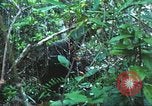 Image of United States soldiers South Vietnam, 1967, second 42 stock footage video 65675062021