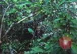 Image of United States soldiers South Vietnam, 1967, second 43 stock footage video 65675062021