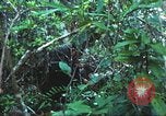 Image of United States soldiers South Vietnam, 1967, second 44 stock footage video 65675062021