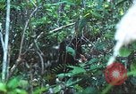 Image of United States soldiers South Vietnam, 1967, second 46 stock footage video 65675062021