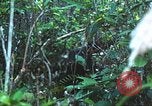 Image of United States soldiers South Vietnam, 1967, second 47 stock footage video 65675062021