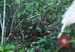 Image of United States soldiers South Vietnam, 1967, second 48 stock footage video 65675062021