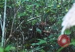 Image of United States soldiers South Vietnam, 1967, second 49 stock footage video 65675062021