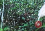 Image of United States soldiers South Vietnam, 1967, second 50 stock footage video 65675062021